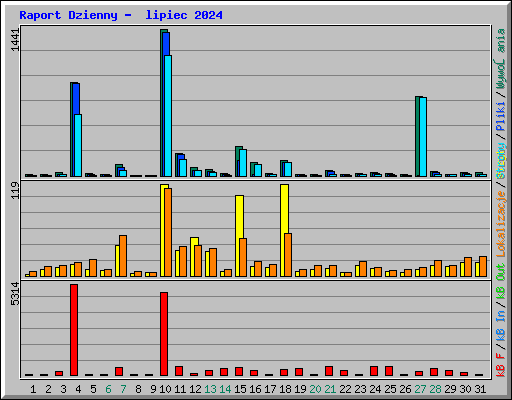 Raport Dzienny -  lipiec 2024