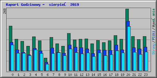 Raport Godzinowy -  sierpień 2019