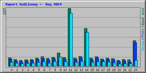 Raport Godzinowy -  May 2024