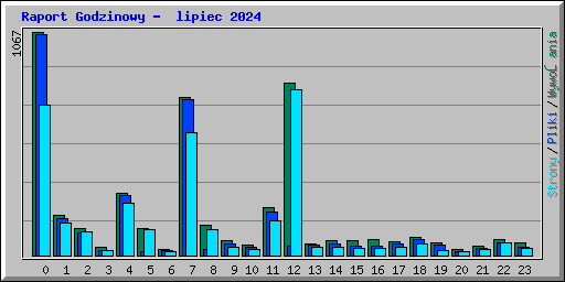 Raport Godzinowy -  lipiec 2024